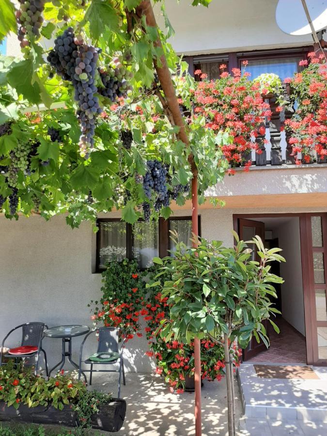 Apartment Vir Karlovac Bagian luar foto